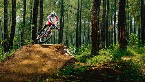 person man riding bike doing stunt near green trees during daytime human