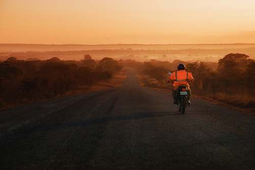 human man riding on motorcycle between trees person