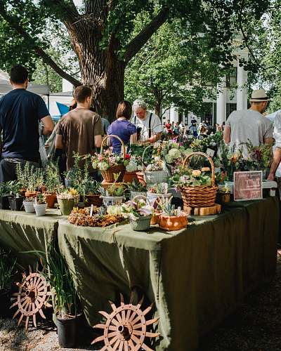 person people beside assorted plants on table human