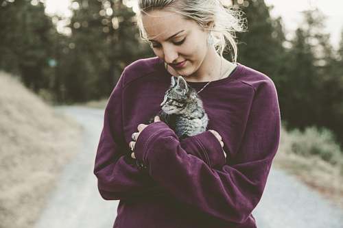 human selective focus photography of woman hugging gray kitten person