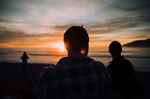 human silhouette of tree people on shore during sunset person