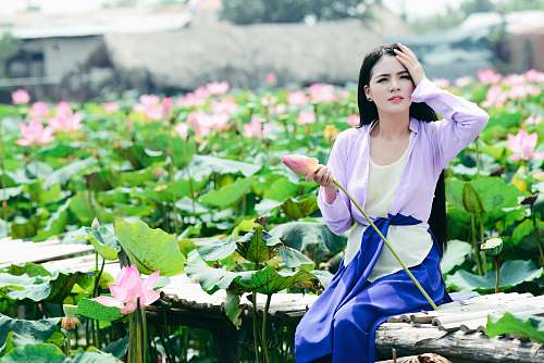 person tilt shift photography of woman sitting behind pink flower plants human