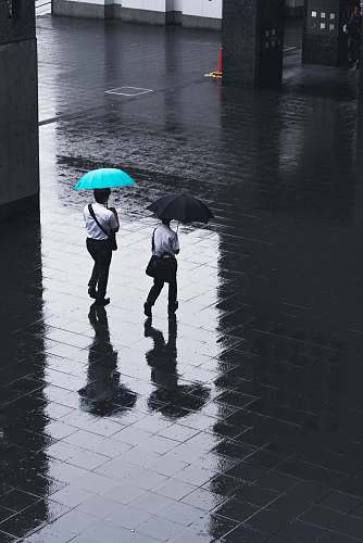 umbrella two men walking on road holding umbrellas during rainy time canopy