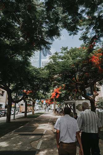 human two men walking on sidewalk person