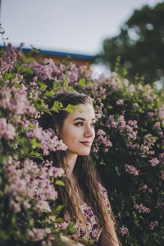 plant woman can be seen through pink petaled flower shrub during daytime blossom