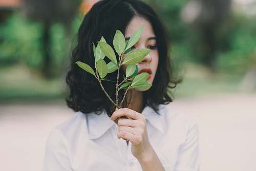 person woman holding leaves human