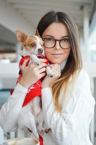 dog woman wearing sweater while cuddling Chihuahua pet