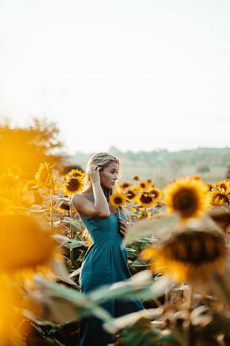 human women's blu sleeveless dress sunflower
