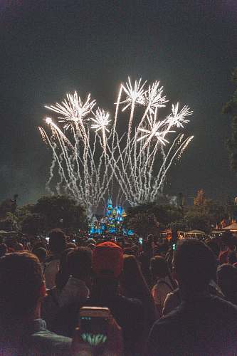 night group of people standing watching firework display fireworks