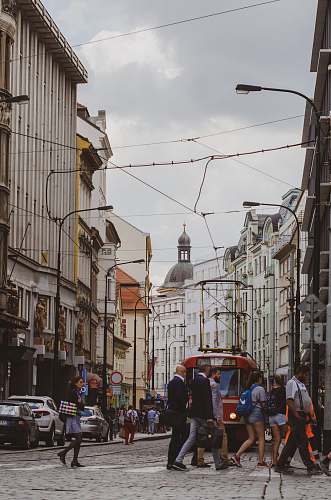 people people walking on asphalt road human