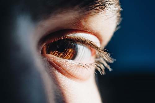 human person's right eye people