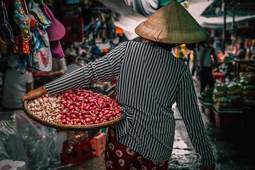 people woman carrying basket with vegetables human