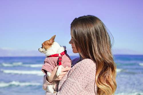 people woman holding white dog on seashore human