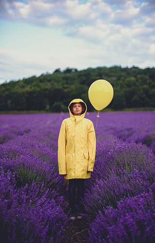 plant woman in yellow dress shirt near purple flower field lavender