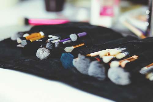 makeup assorted makeup brushes animal