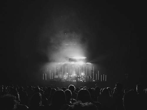 grey  crowd