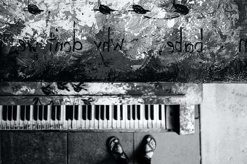 animal grayscale photo of person standing near piano bird