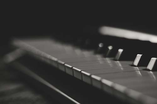 grey grayscale photography of piano keys domino