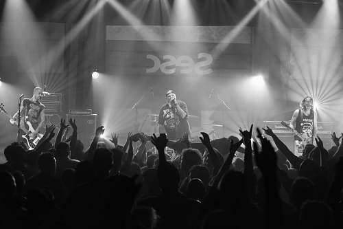 black-and-white grayscale photography of music band grey