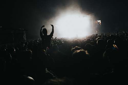human silhouette photography of people in concert person
