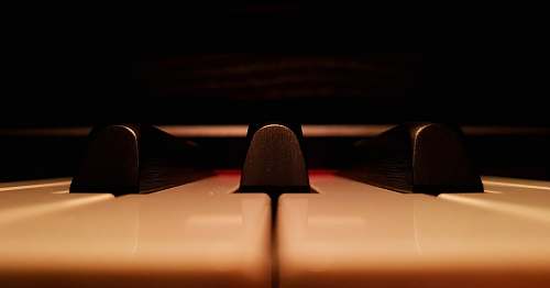 piano shallow focus photo of piano keys keyboard