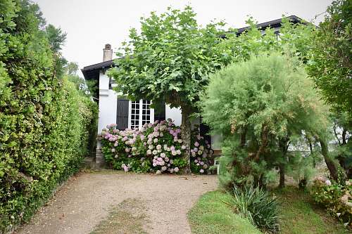 outdoors white concrete house surrounded with trees arbour