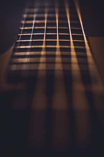 music close-up photo of guitar strings fret