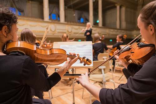 people orchestra playing their piece music