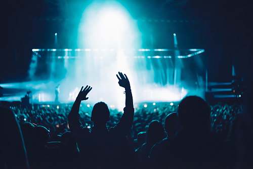 person people watching concert crowd