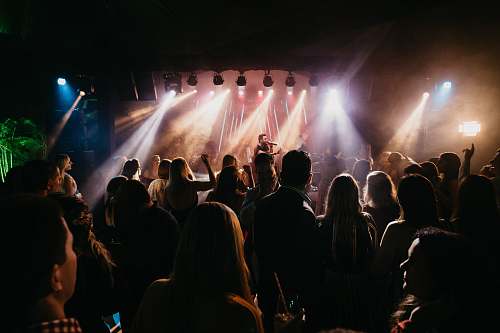 person people watching live concert crowd