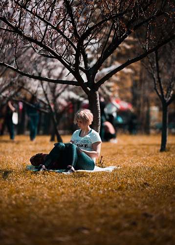 person woman sitting under tree people