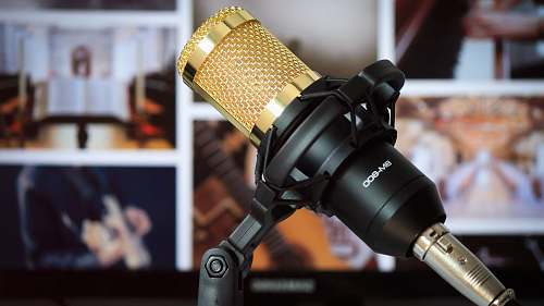 bengaluru black and brass condenser microphone india
