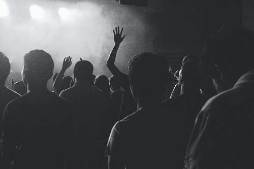 black-and-white A crowd at a concert grey