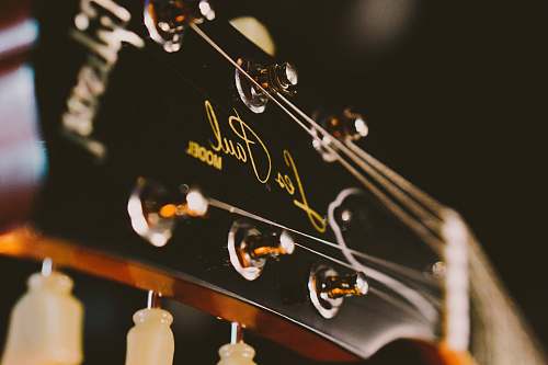 bottle black and brown Gibson Les Paul guitar head stock guitar