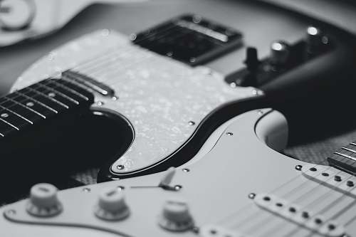 guitar black and white photo of two stratocaster electric guitars black-and-white