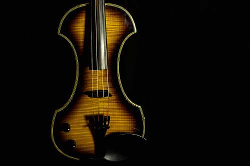 violin brown violin fiddle