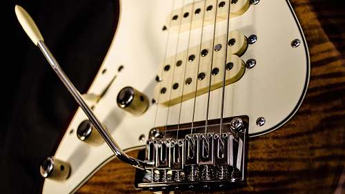 guitar close up photography of brown electric guitar electric guitar