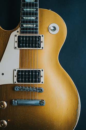 guitar closeup photography of electric guitar electric guitar