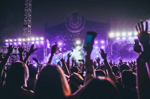 crowd group of people raising there hands in concert festival