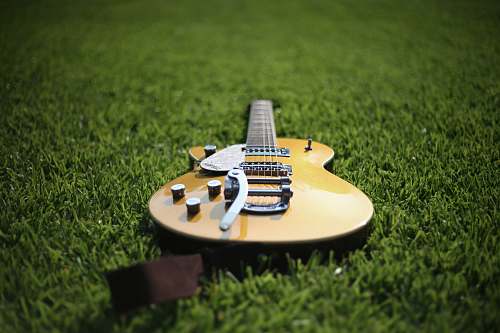 guitar jazz acoustic guitar on lawn electric guitar
