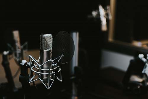 podcast macro photography of silver and black studio microphone condenser studio