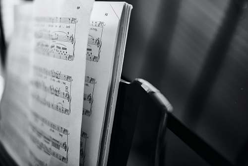 black-and-white music score closeup photo cologne