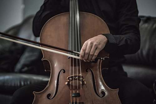 cello person wearing black dress shirt playing brown cello string instrument leisure activities