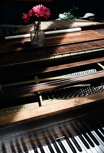 brooklyn shallow focus of upright piano piano