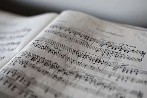grey tilt selective photograph of music notes notes
