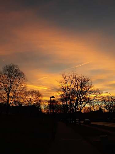 sky silhouette of trees during sunset sunset