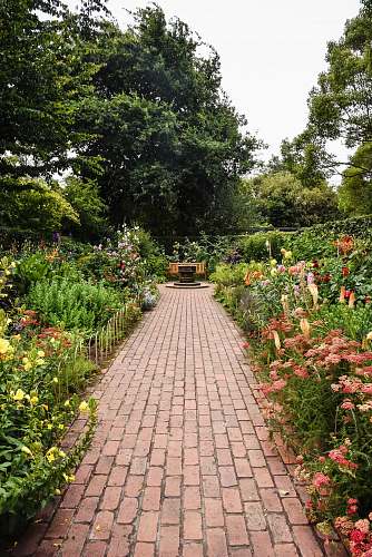 garden brown brick pathway between green plants during daytime flagstone