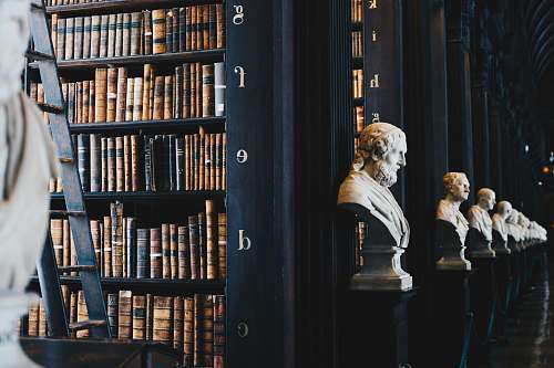 human book lot on black wooden shelf person
