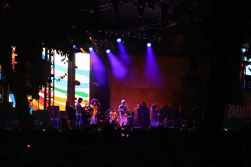 human concert perform stage