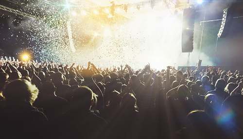 human people partying crowd